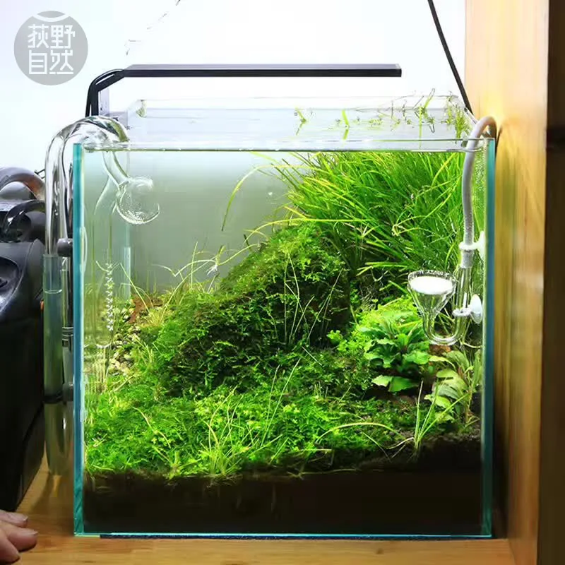 Aquarium Marine Lights - Chihiros C Series ADA Style Plant