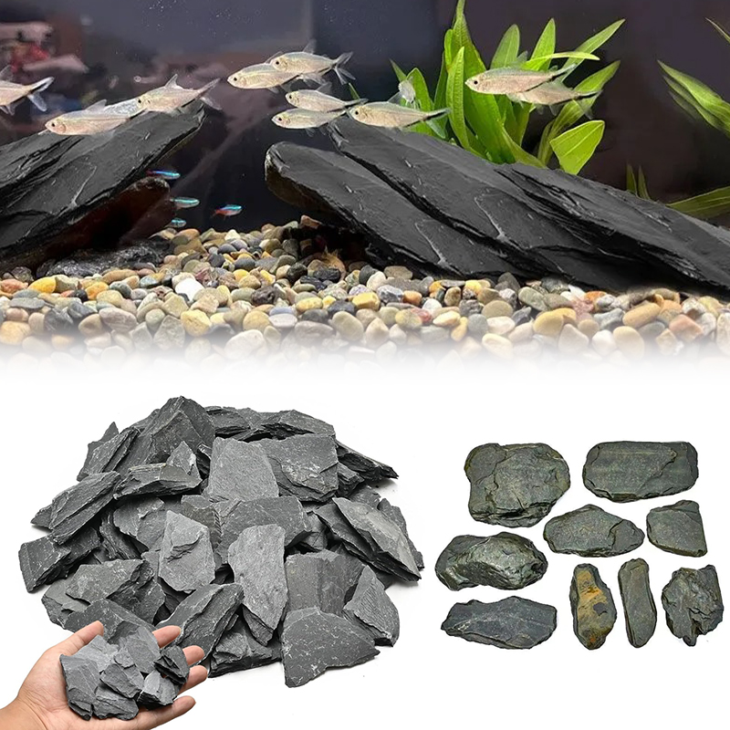500/1000g Fish Tank Landscape  - Marine Fish Tank ulasan dan harga