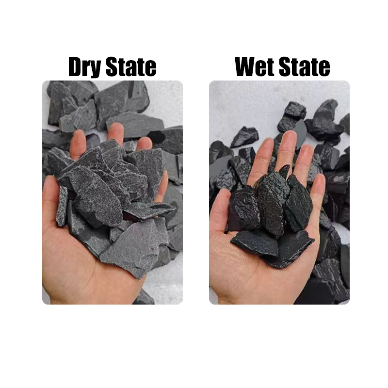 500/1000g Fish Tank Landscape  - Marine Fish Tank ulasan dan harga