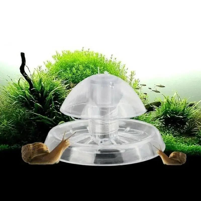 2026 New 6/8CM Clear Plastic S - Marine Aquarium ulasan dan harga