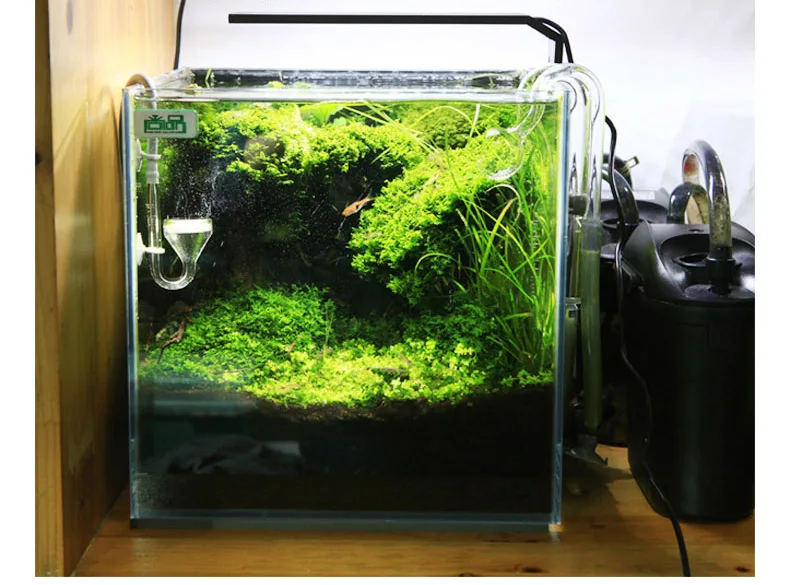 Chihiros C Series ADA Style Pl - Aquarium Marine Lights ulasan dan harga