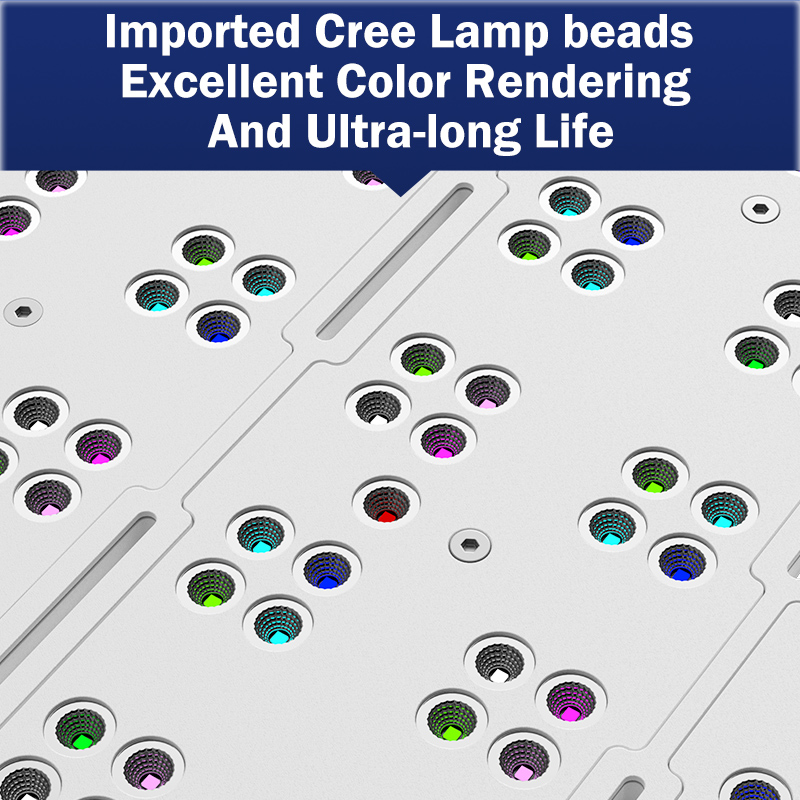 T169 Full Coverage 169W Flat P - Reef Lighting ulasan dan harga